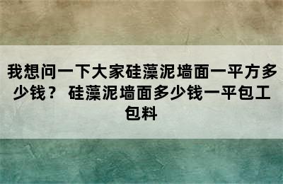 我想问一下大家硅藻泥墙面一平方多少钱？ 硅藻泥墙面多少钱一平包工包料